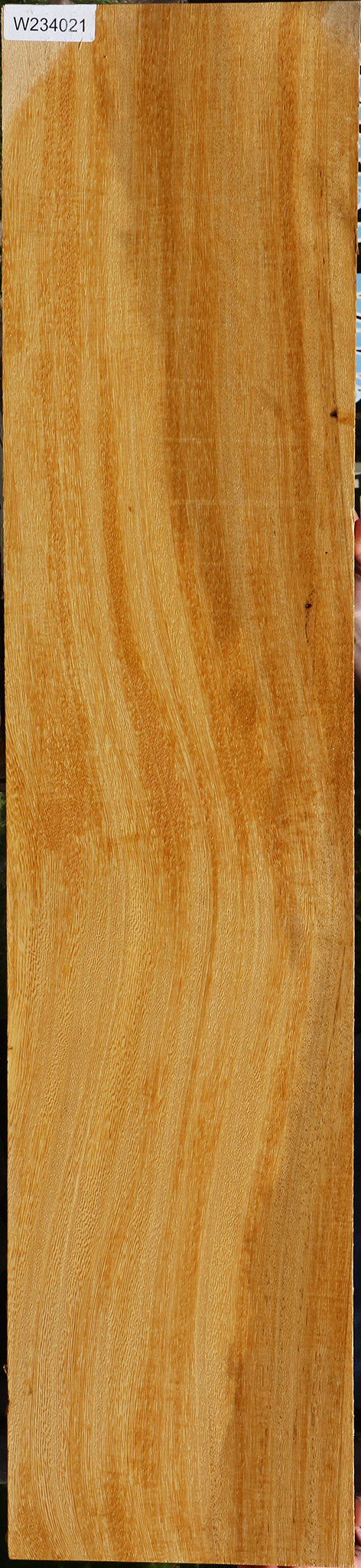 234021_1_6b2ea918-2444-4d0a-bf20-740129a3258a 15125956657523