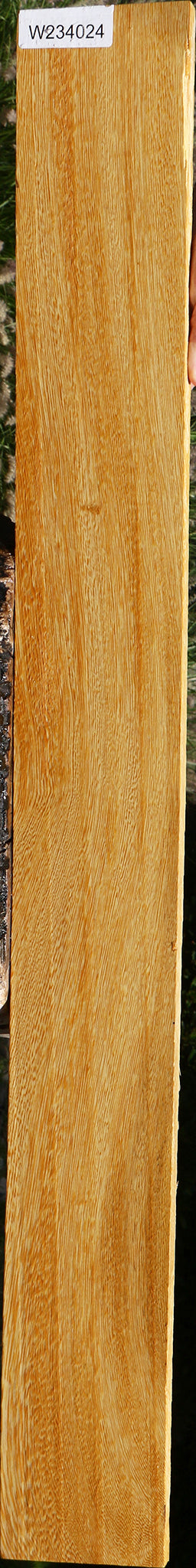 234024_1_8dfed6b7-6987-4ce7-92ec-0e04ee04e69c 15125956854131