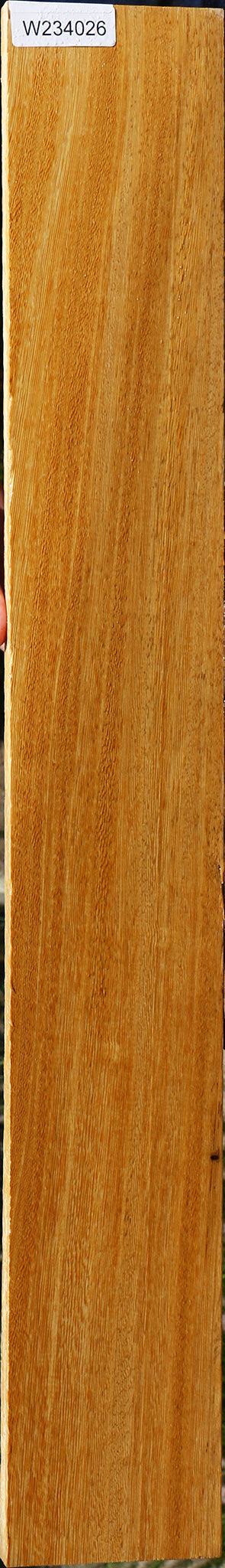 234026_1_1d3702e9-2b12-4f03-a056-a98607ccfbaf 15125957050739