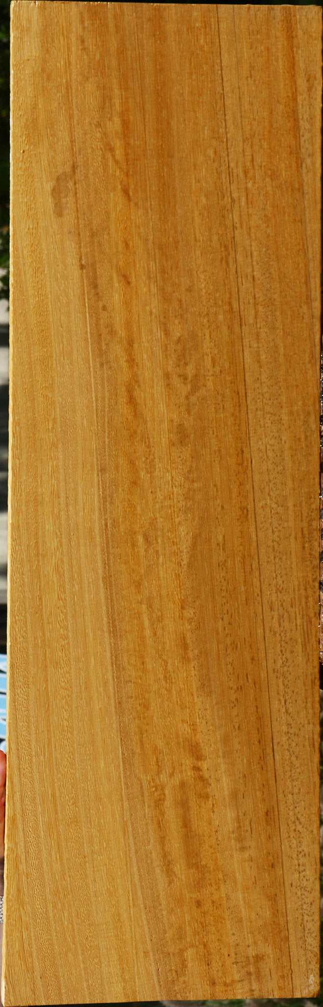 234035_1_adb75965-44a9-4dba-acde-68b868a3a7eb 15125957804403