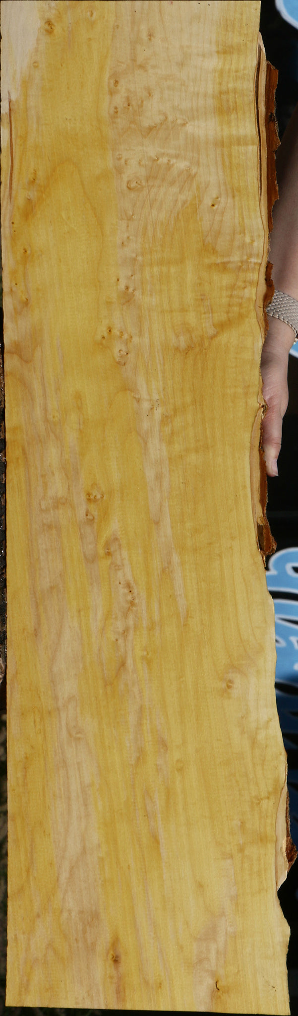 234060_1_a0e857eb-f73b-45ae-aeed-b42882c53501 15129847562611