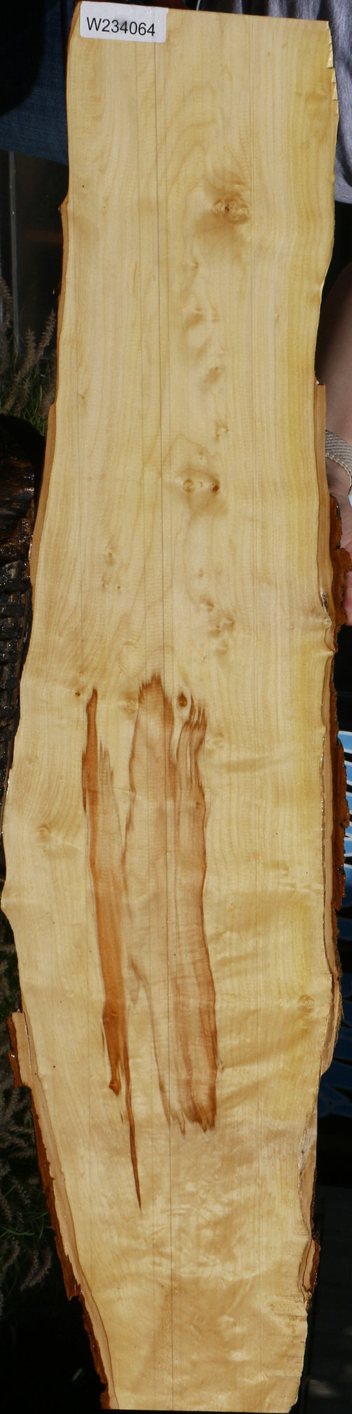 234064_1_42c68f3d-43d1-47f8-82d4-29c17337d021 15129849168243