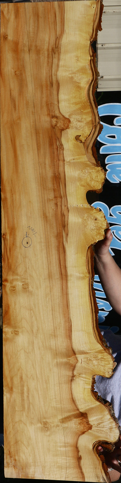 234066_1_90f9eadb-11ce-41a2-ab4d-fe196500cc15 15129849889139