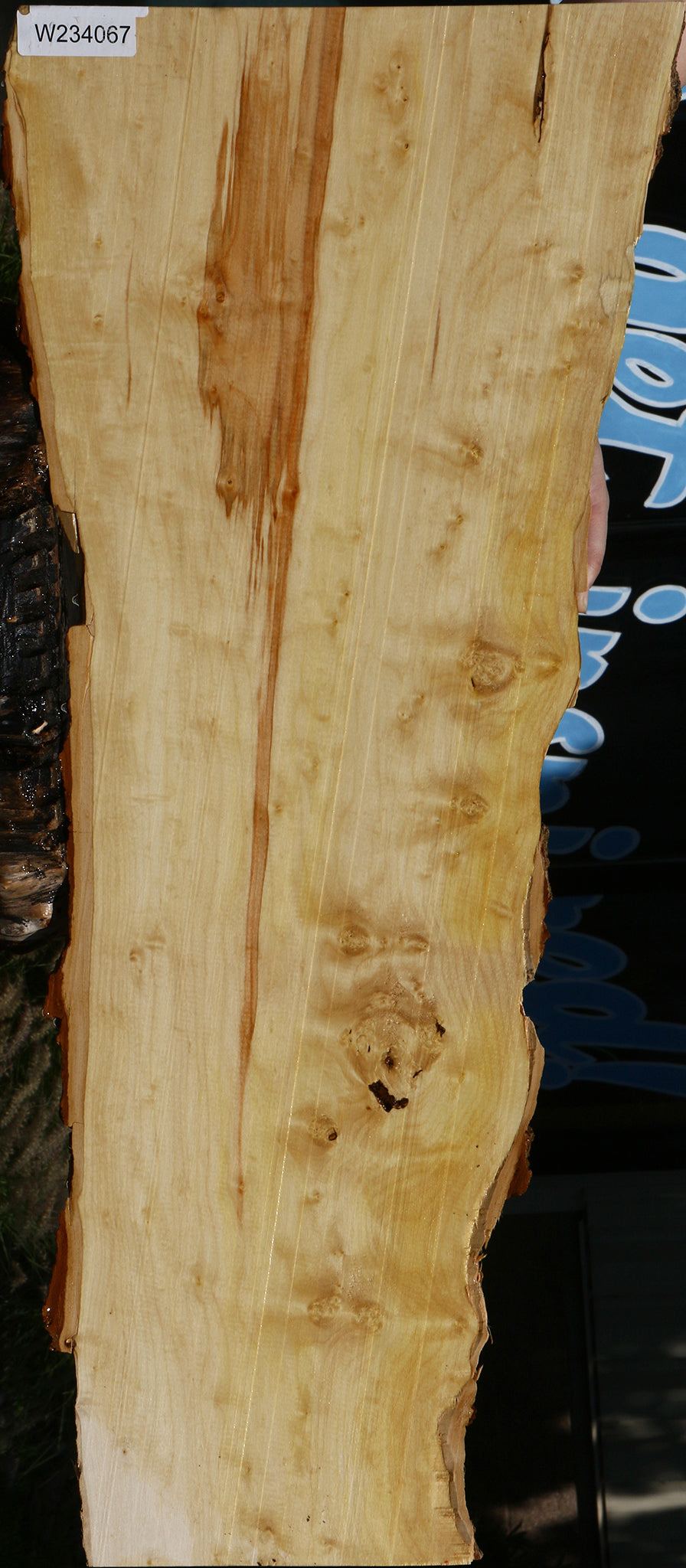 234067_1_aa96d67d-22f8-4df0-8198-9b5ad7b2d915 15129850249587