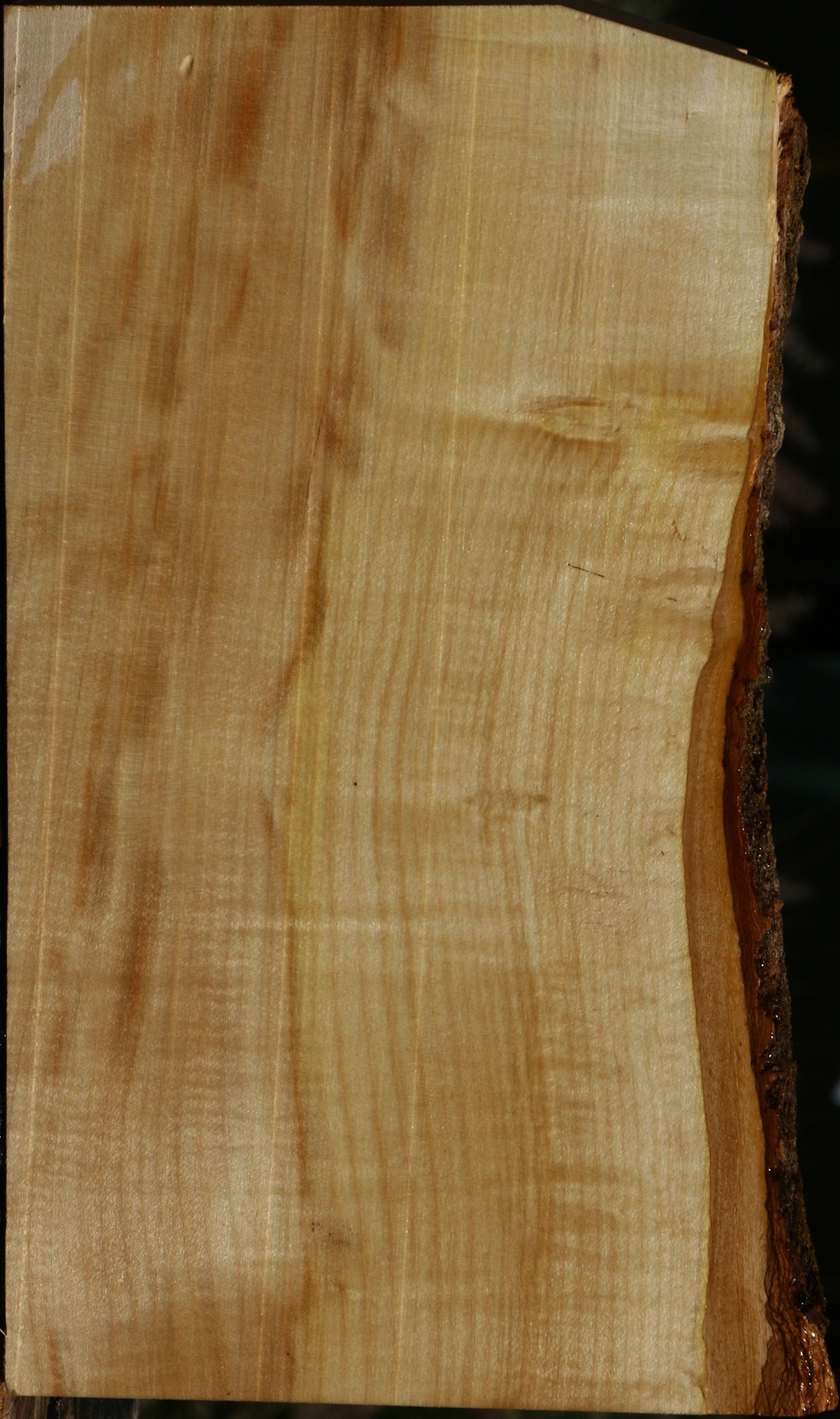 234092_1_e5f7983b-a898-40e4-b93e-93f9bdf03d0b 15129859752307