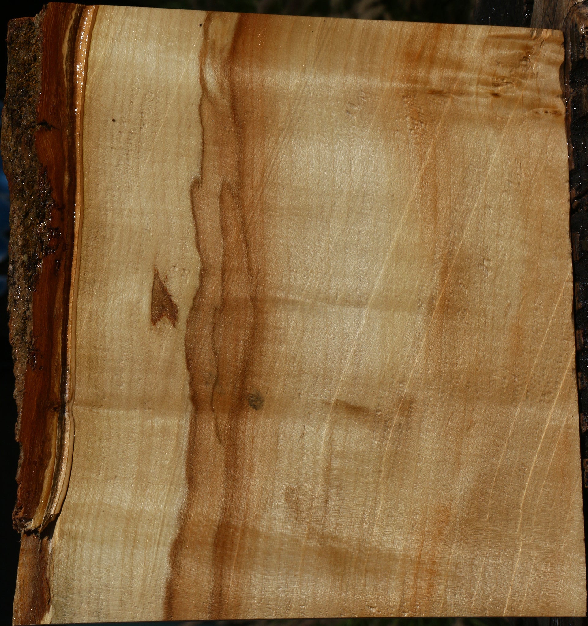 234109_1_a96867f0-fbaa-4d45-af33-0ab35707df03 15129865912691