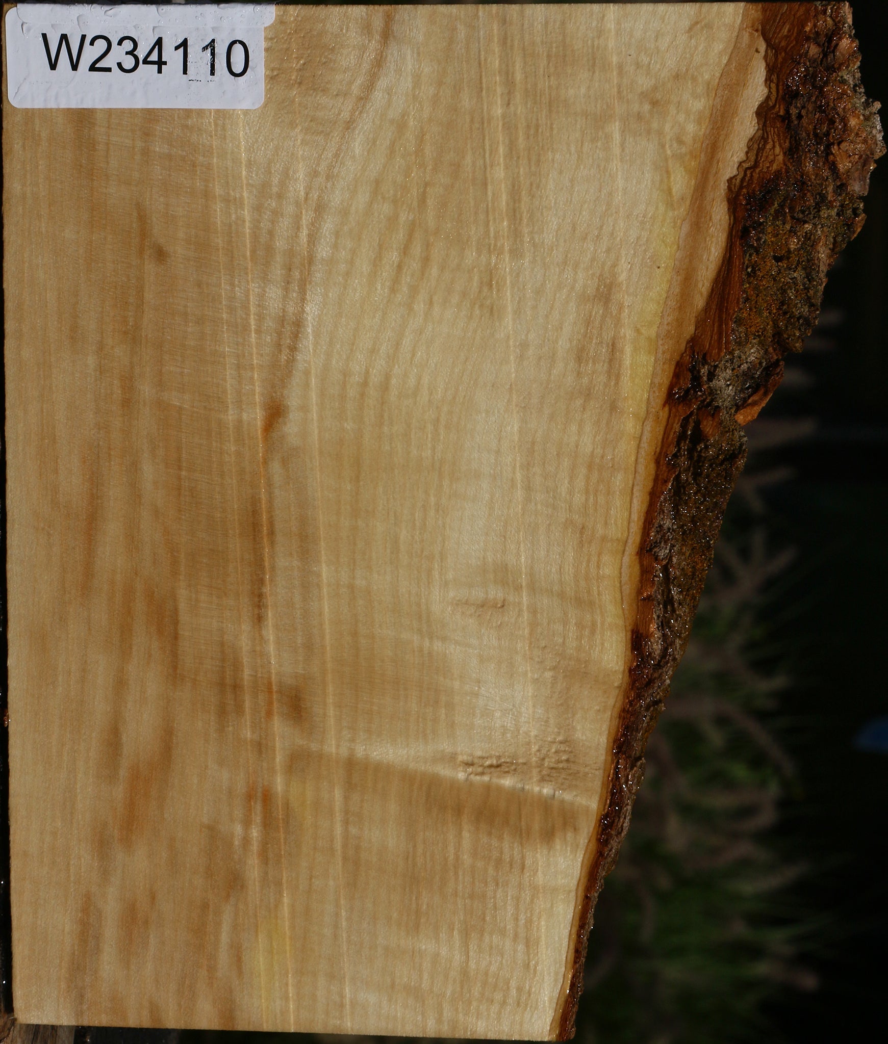 234110_1_2298b1bb-e7c0-4f73-9a65-1f7b0330878f 15129866338675