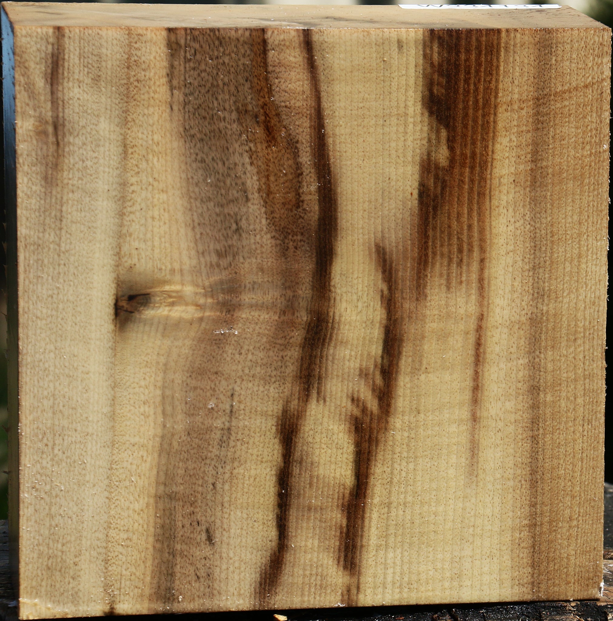 234134_1_40dbac36-975b-4772-8e9f-26b57772fc45 15128375722355