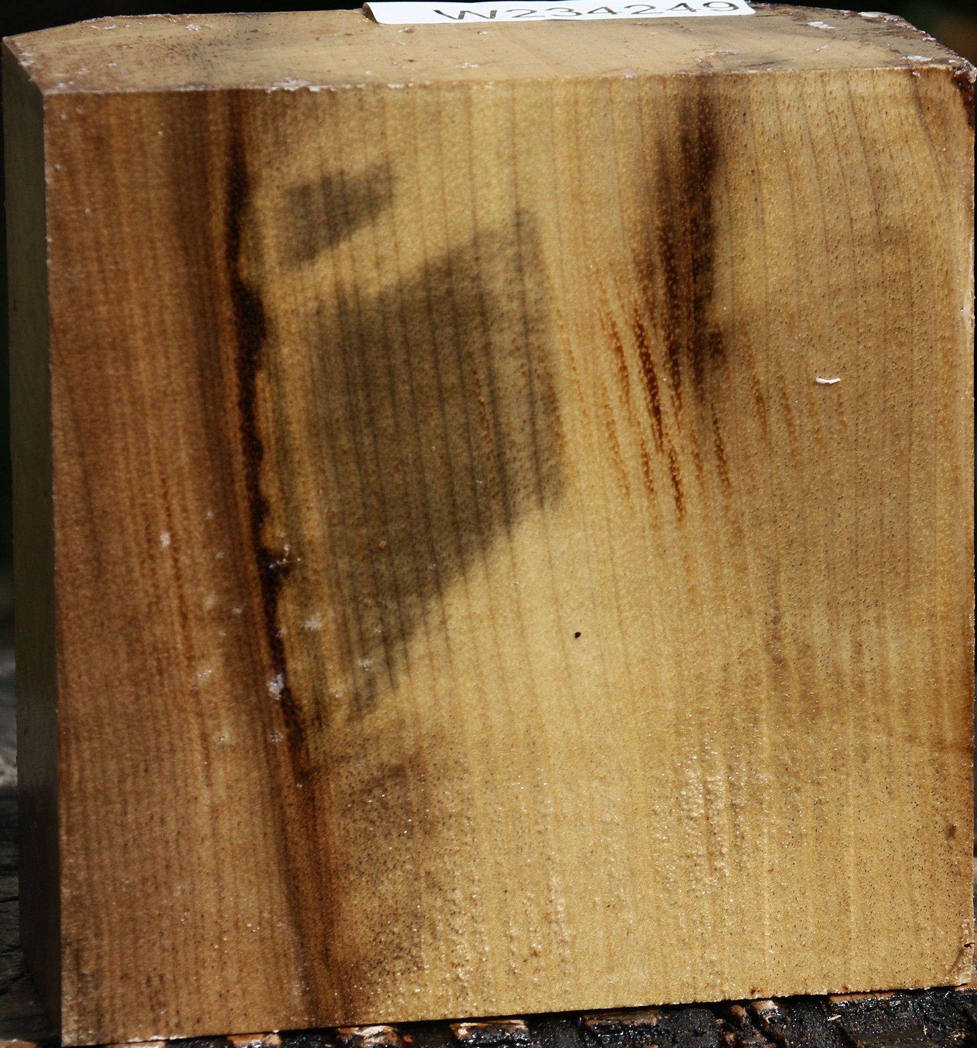 234249_1_ffaeece3-2678-449f-b26e-01d469a03ea9 15128386175347