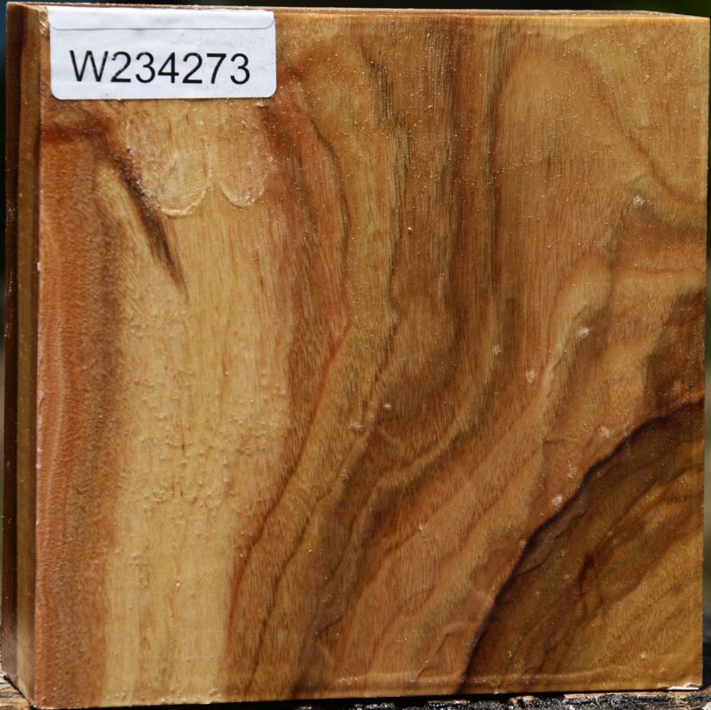 15137463337331