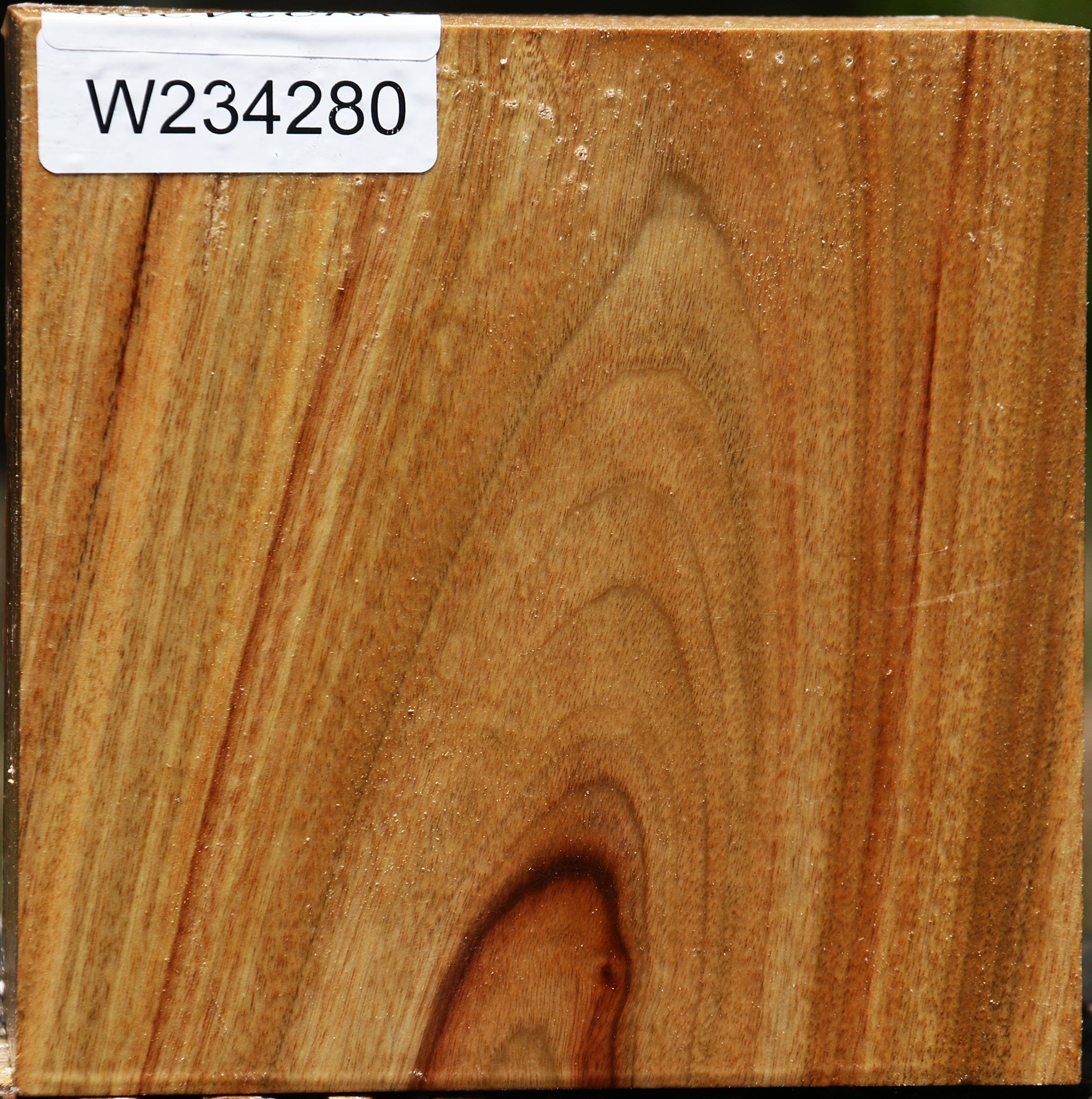 234280_1_1dc4a8da-7aa8-4d81-a025-f8ca79bf2c25 15137464680819