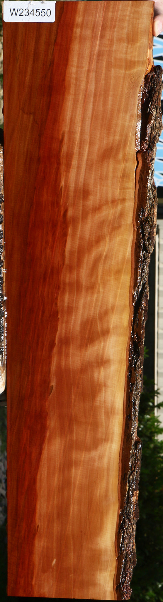 234550_1_2a6655b9-eabe-4011-9f2f-dc039c79db3d 15137471922547