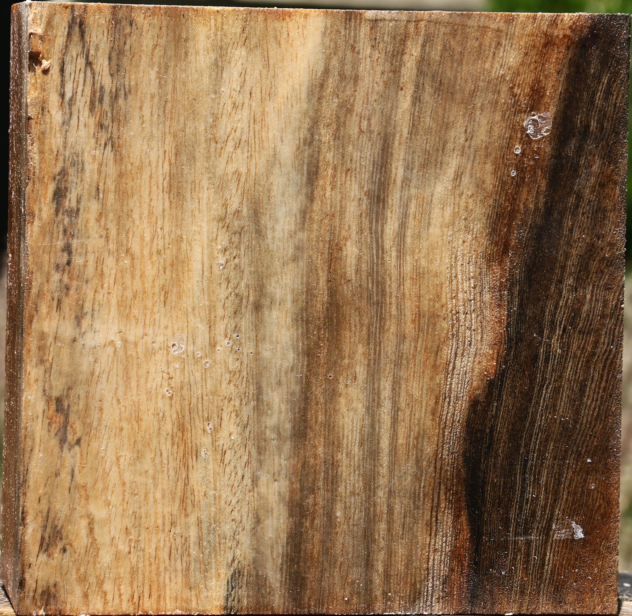 234608_1_81312626-ff84-4df9-aad9-98664217d57d 15132526182771