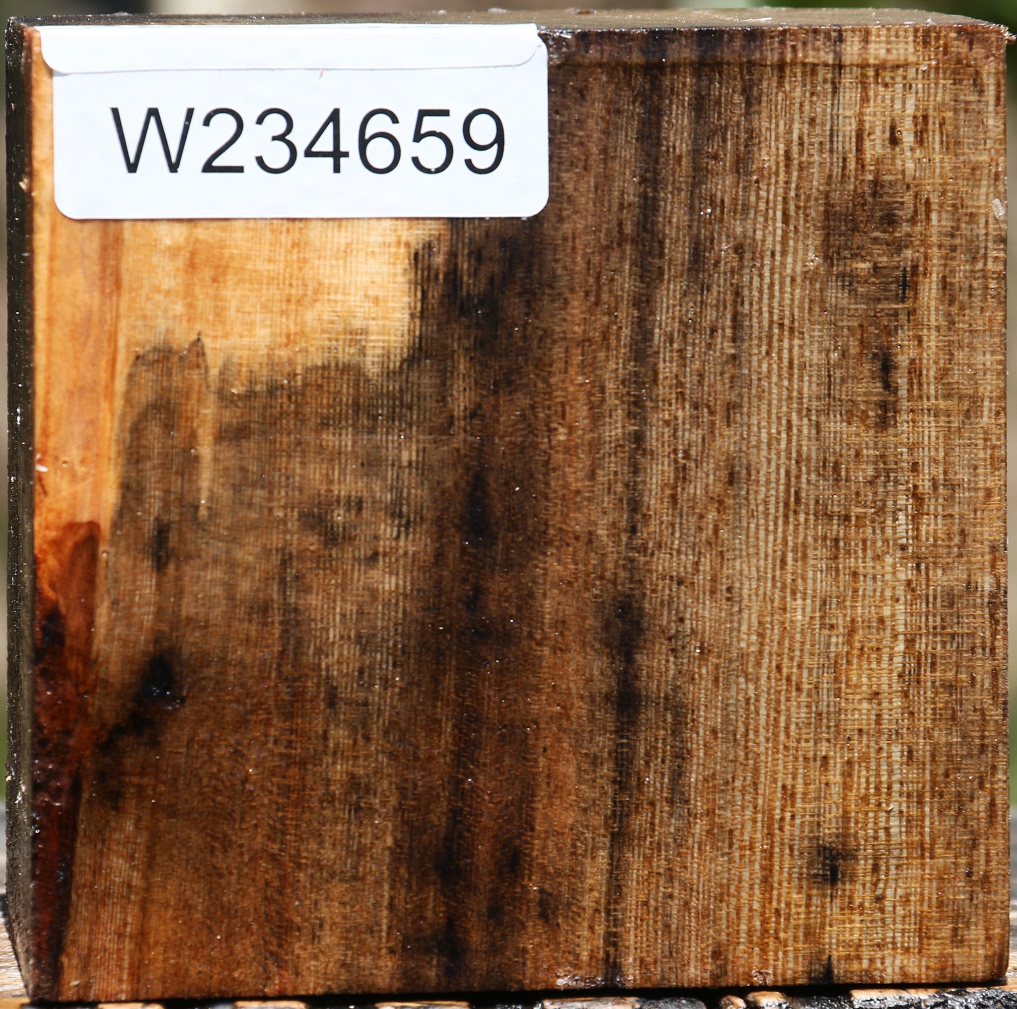 234659_1_e35cb4bb-95a1-47c7-ac67-7a91bf9873e6 15132530213235