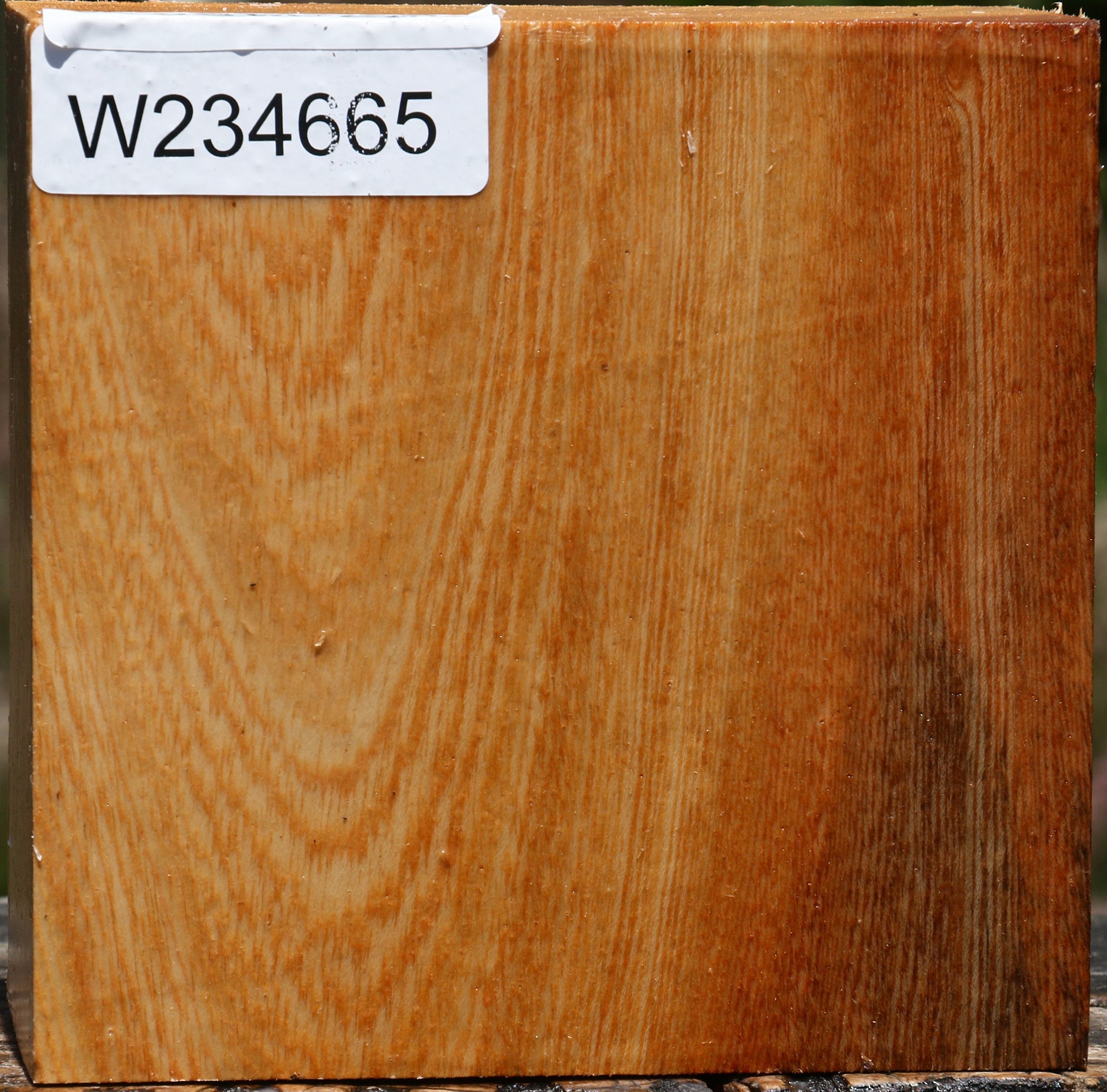 234665_1_80dda06a-2d6e-421e-9665-bfa73856076d 15132530442611