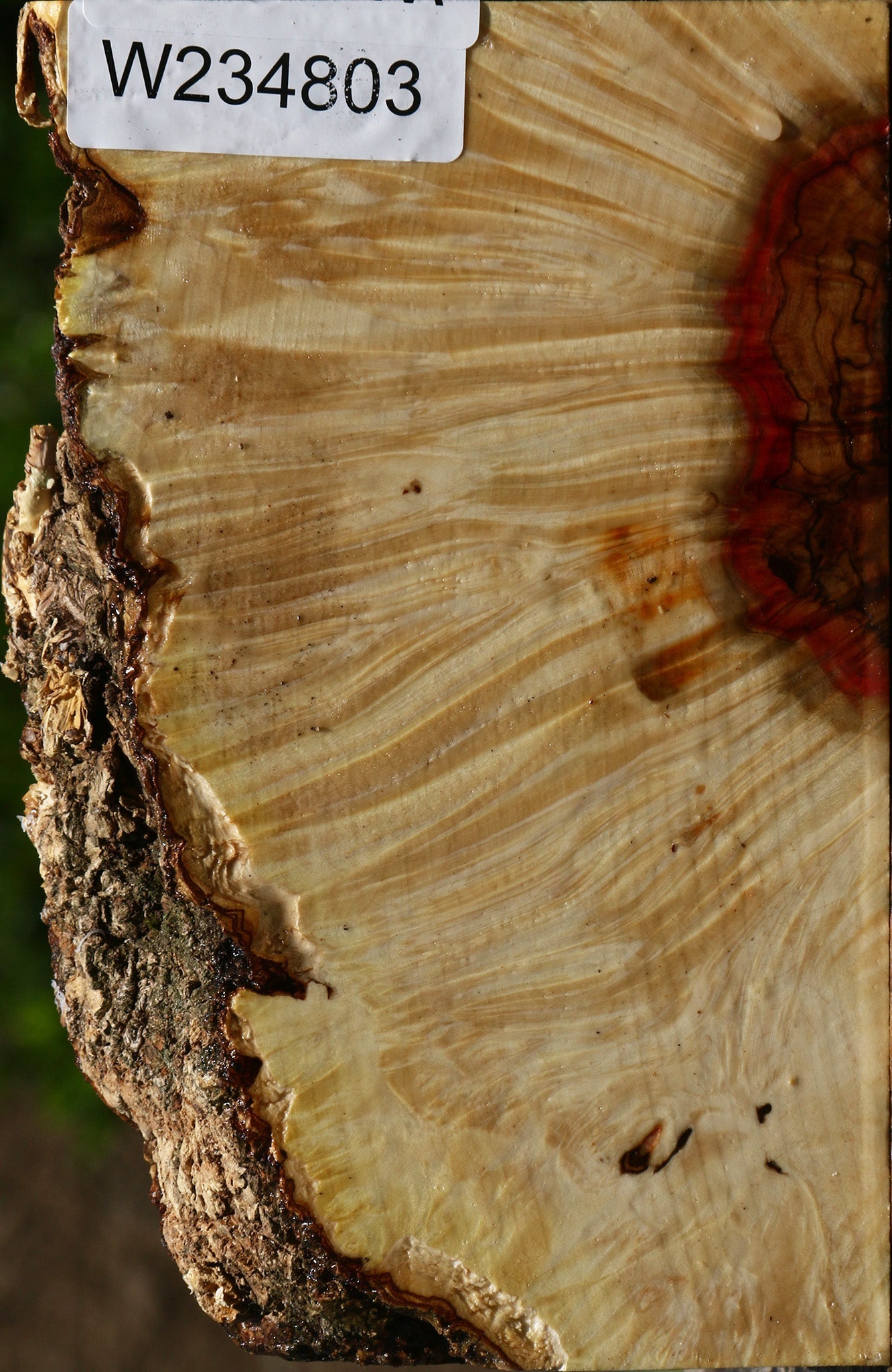 234803_1_af2049d4-6541-4987-bfd3-f8f39af4f177 15135990841715