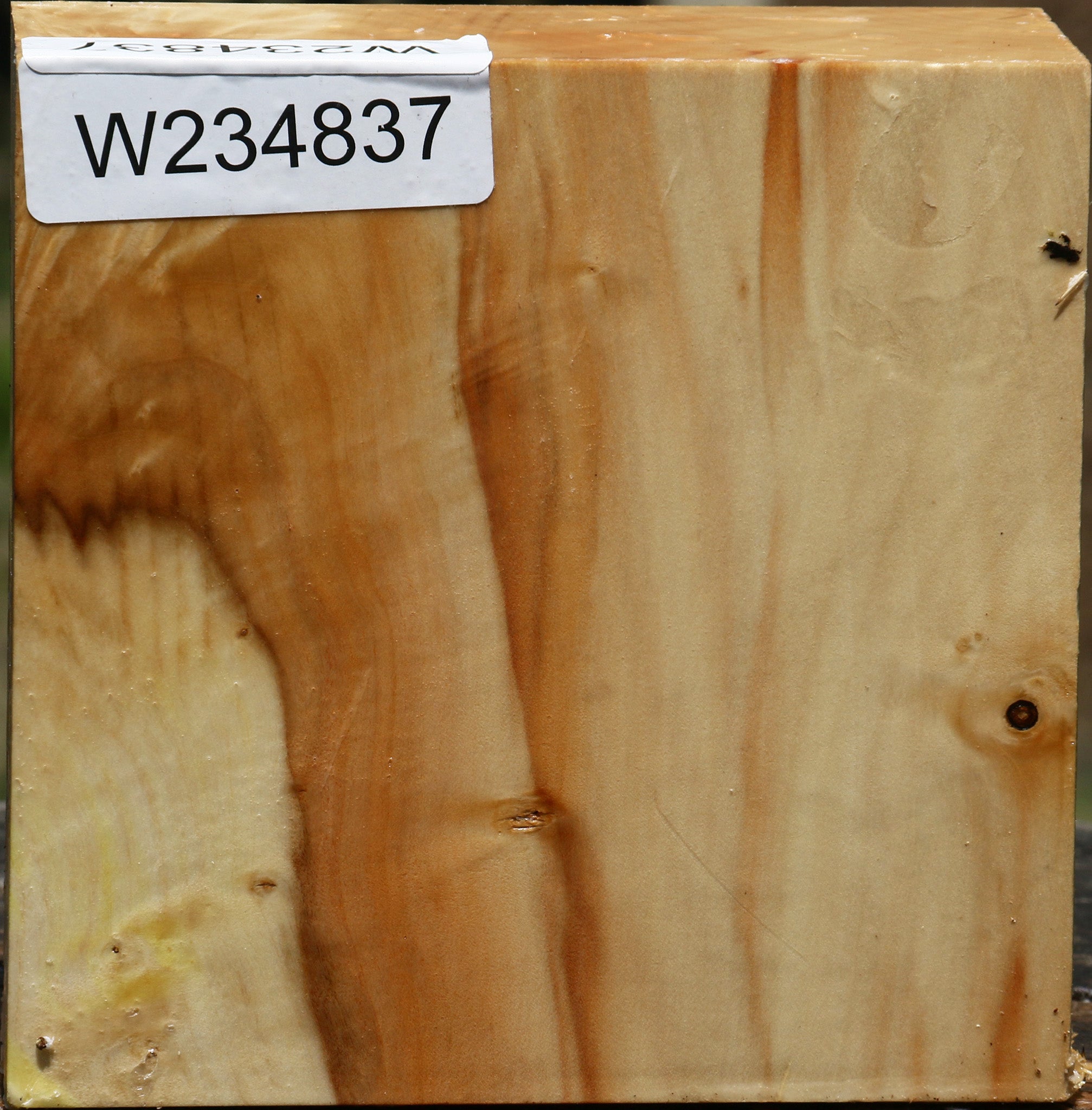 234837_1_dbd05abf-e8cf-4807-9acf-deaed82af8a7 15135991857523