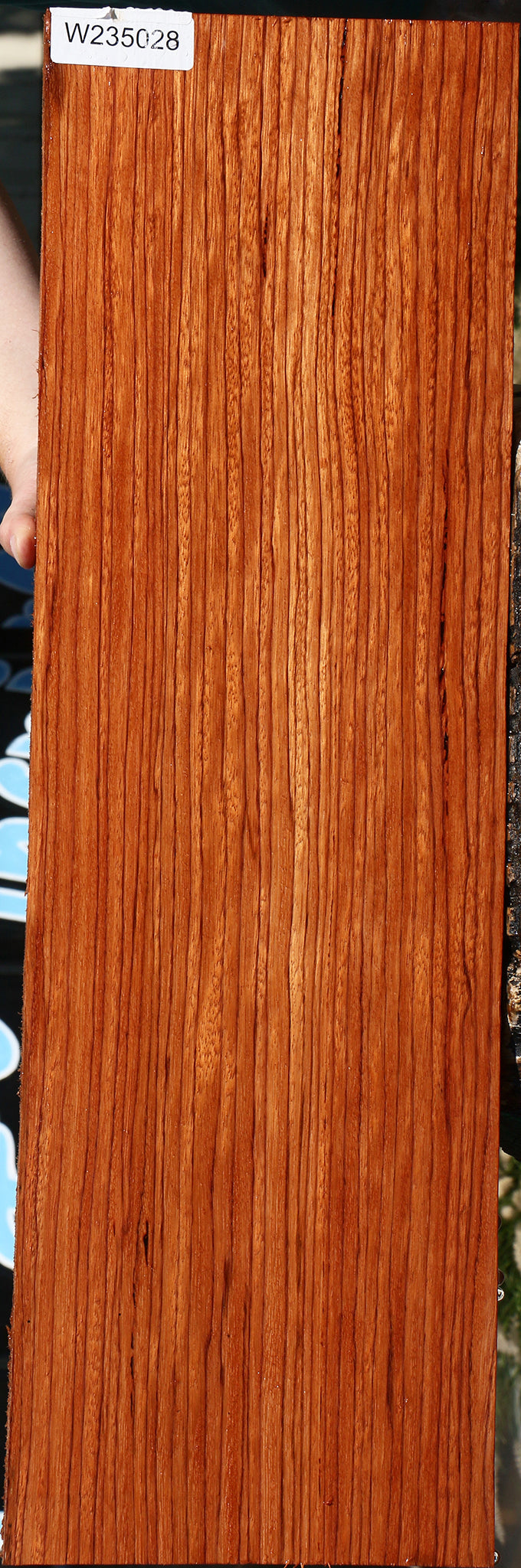 235028_1_4275a382-88e1-4d50-9802-4492a6101bac 15134554489203