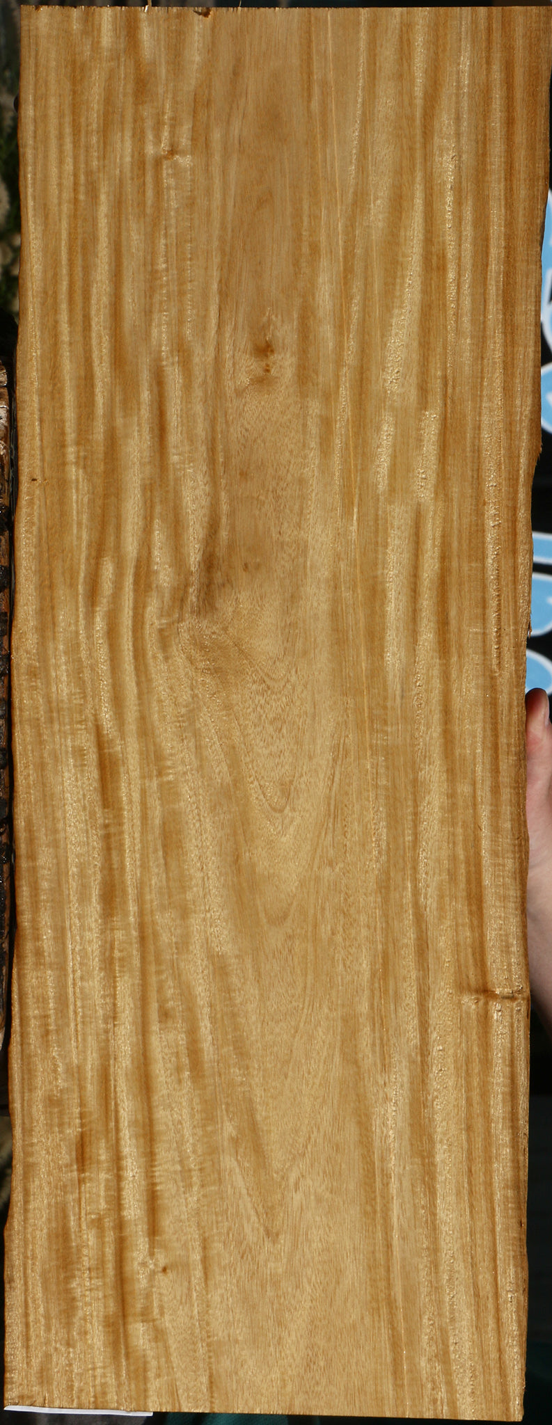 235062_1_c35e2872-793a-4f15-86b2-2cdc11ccbe9d 15134556422515