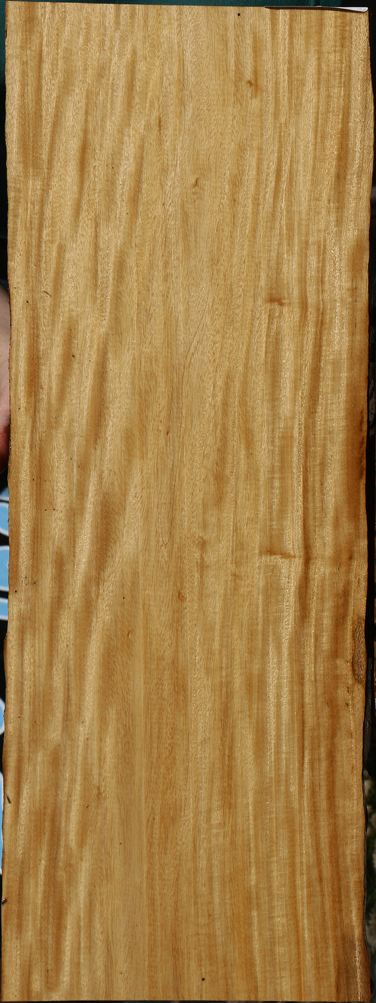 235065_1_a7180dc1-ddde-44c1-9a60-525a64872696 15134556651891