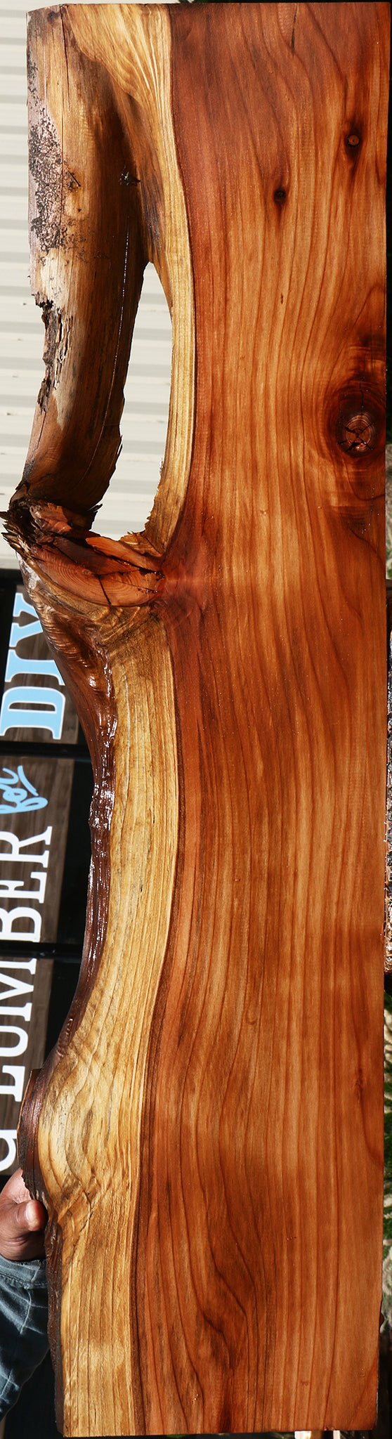 235091_1_dffc9897-cacd-4e27-b2bb-8dcdc39de1e7 15137455833459