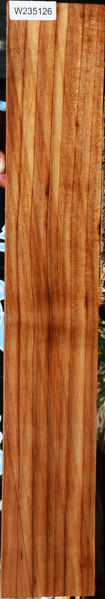 235126_1_a06c48cd-d2a4-4c43-85a9-071229de6828 15137457799539